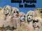 Deep Purple-in rock USA 180g folia