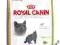 Royal Canin British Shorthair34 4kg rottka.pl