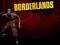 Borderlands PC
