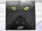 LP CATS UK