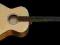 OKAZJA! GITARA Breedlove C200SMP Ragtime Opole