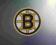 Boston Bruins magnes na lodowke nhl