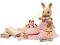 PROMOCJA !! Sylvanian Families Urodziny Carli