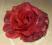 -MARGUT- Spinka Gumka Broszka Kwiat Róża 8 WZORÓW