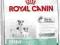 ROYAL CANIN STARTER MINI PROMOCJA 1kg-18 zł+GRATIS