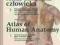 atlas anatomii Wolfa Heideggera