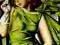 TAMARA ŁEMPICKA Zielona sukienka 60x90 !_piękny_!