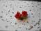 Kolczyki róże z modeliny Fimo! ręcznie wykonane!!