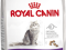 ROYAL CANIN FELINE SENSIBLE 33 10KG + 2KG GRATIS!