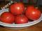 pomidor BOX CAR WILLY - na przeciery, soki, sosy