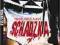 SCHADZKA THRILLER DVD DD 5.1 STAN IDEALNY BCM