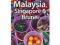 Malezja Singapur i Brunei - Lonely Planet