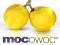 MOCOWOC: Pigwowiec Cido - 30cm/3 lata/dostawa 24h