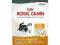 Royal Canin hair&skin33 sucha karma 4kg