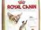 Royal Canin Siamese38 sucha karma 2kg
