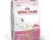 Royal Canin sucha karma babycat 2kg