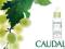 CAUDALIE PULPE VITAMINEE KONCENTRAT REGENERUJACY