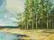 JEZIORO W LESIE - DUŻY FORMAT  - 92  x 73