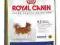 ROYAL CANIN CHIHUAHUA ADULT 2kg + KURIER GRATIS