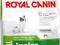 ROYAL CANIN X-SMALL JUNIOR 500+500gr PSY DO 4kg