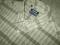 GAASTRA NAUTICAL SUPPLIES BEAUTIFUL SHIRT /XXL