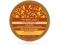 The Body Shop Body Butter CANDIED GINGER 200ml