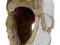 MUSTO WINTER FUR HAT czapka uszatka GGN Sport W-wa