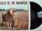 D. Reucassel & T. Pooley - Calls of the Bushveld