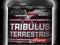 HI TEC Tribulus Terrestris 100+60kaps. GRATIS!!!!!