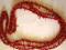 Piękny naszyjnik z korala, czerwony, 65 cm NOWY