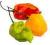 Zestaw nasion 6 gatunków Chili, Habanero,Cherry...