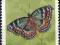 NAMIBIA (1993) MOTYL Junonia octavia sesamus**