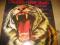 TYGERS OF PAN TANG - WILD CAT - LP