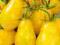 ++POMIDOR GRUNTOWY YELLOW PEAR SHAPED++++