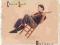 CHUCK LOEB - BALANCE
