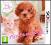 Nintendogs + Cats: Toy Poodle 3DS FOLIA