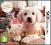 Nintendogs + Cats: Golden Retriever 3DS FOLIA