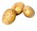 Ziemniaki jadalne winieta 40gr za 1 kg