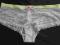 VICTORIA'S SECRET -  urocze majteczki **M**