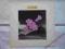 LP LEVEL 42 WORLD MACHINE UK