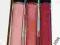 REVLON COLORBURST LIPGLOSS NOWE
