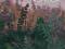Smolik, 2 NOWA, W-wa