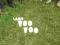 Voo Voo, Samo Voo Voo 13 W FOLII W-wa