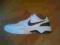 Nike Air CourtBallistic 3.1