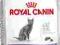Royal Canin Sterilised 37 4kg - koty sterylizowane