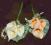 Kalia 3 kokory, kwiatki, bukiet, ślub- kotyliony