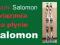 SALOMON Axecleaver + płyta + wiązania Salomon S850