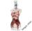 JEAN PAUL GAULTIER CLASSIQUE 100ML
