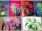 Kwiaty - zestaw 6 szt. pocztówek dźwiękowych