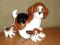 pies piesek BEAGLE /BIGLE _figurki gliniane 3 szt